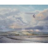 Owen Williams
Watercolour drawing 
A peregrine falcon flying over shoreline, signed,