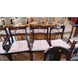 Six modern stained hardwood dining chair