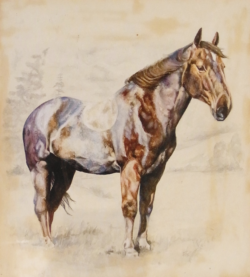 Flavia Phillips
Watercolour drawing
"Kookie",