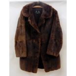 A vintage musquash fur coat carrying label "Calman Links,