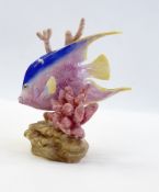 Royal Worcester "Blue Angel Fish Figure" No.3374 by R Van Ruyckwilt, 13cm high  Live Bidding: If you
