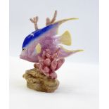 Royal Worcester "Blue Angel Fish Figure" No.3374 by R Van Ruyckwilt, 13cm high  Live Bidding: If you