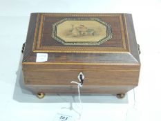 Regency parquetry inlaid sewing box with printed central panel of mother and child with brass lion