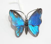 Silver and butterfly wing brooch in the form of a butterfly,