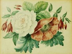 Three 19th century watercolours 
Floral still life studies,