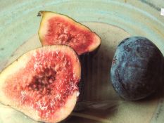 Charlotte Docking
Limited edition colour print
Still life of figs,