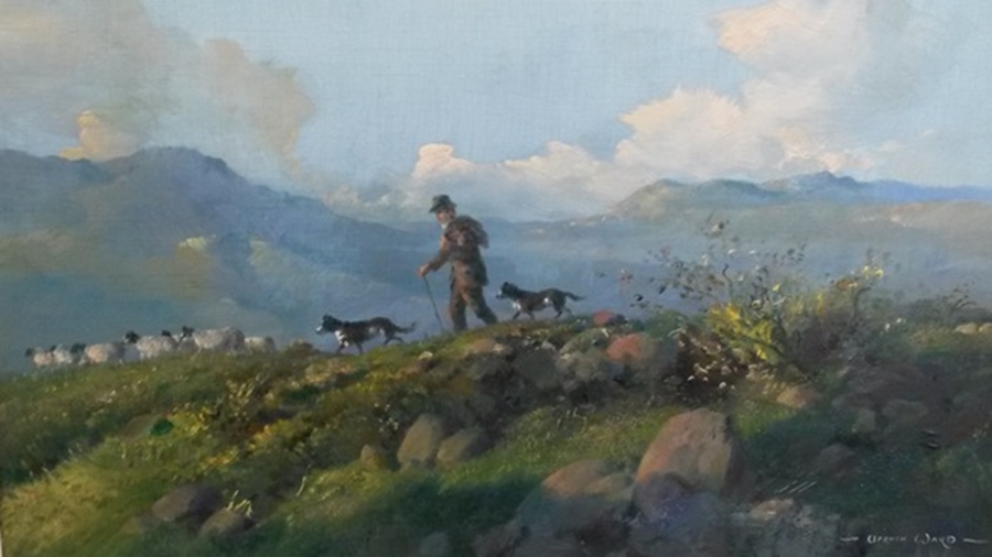 Vernon Ward (1905-1985)
Oil on canvas
Farmer on hilltop with dogs and sheep, signed, 45cm x 60cm