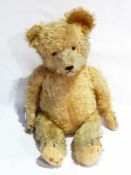 Early to mid 20th century mohair teddy, golden plush body, jointed body,