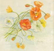 Margaret Murray
Watercolour drawing with pencil
"A Scattering of Iceland Poppies",