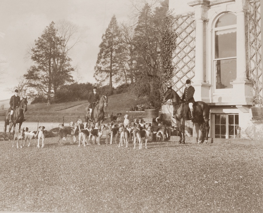 Sepia photograph of the Pantglas Foxhounds 1904-1905 depicting master and wipperins with hounds in