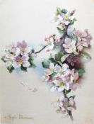 Alice Price 
Watercolour drawing
"Apple Blossom", signed, 33cm x 24.