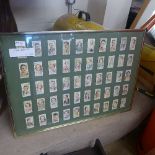 A collection of three framed and glazed arrangement of cigarette cards