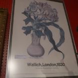 A large print 'Wallich London 1830' from the New York botanical garden print series