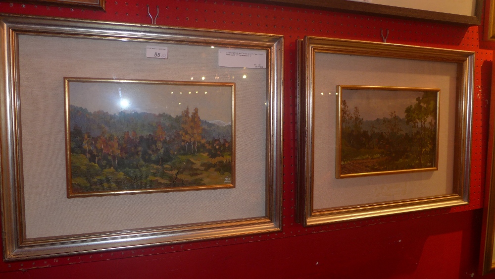 A pair of glazed and framed oil on canvas Autunm landscapes monogrammed 'D. C'