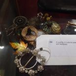 A quantity of costume jewellery including brooches and necklaces