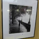 A limited edition photograph Embankment