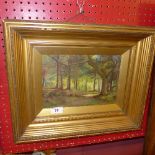 An oil on canvas of woodland scene ''Oak wood'' monogrammed PB in gilt frame