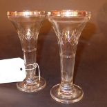 A pair of Edwardian hallmarked silver and crystal vases