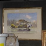 An early boxed toy model of a tiger moth