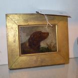 A C19th oil on panel portrait of a dog in a gilded frame