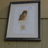 A framed and glazed modern print of an owl in the Durer style, with A.D. stamp and signed in pencil,