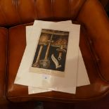 A pair of unframed botanical prints of two species of fungus