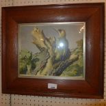 A glazed and framed print of a woodpecker on a tree branch