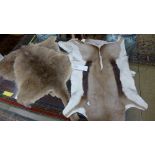 A collection of various pelts