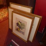 A collection of five lithograph still life studies of fruit contained in four frames