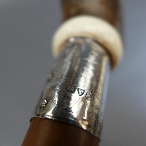 A horn handled walking cane, the handle fashioned in the form of a hare's head, fitted hallmarked - Image 3 of 3