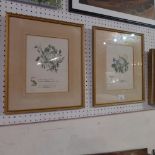 A pair of glazed and framed floral lithographs by Miss Giraud with details verso