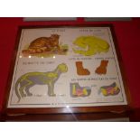 A framed and glazed French School poster depicting the anatomy of a cat