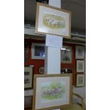 Margaret Murray - a pair of watercolours and pencil studies titled 'Escapees' and 'Piggy-Wiggies'