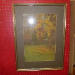 A framed and glazed gouache drawing of a Paulownia tree by Edith Hine, signed