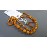 SOLD IN TIMED AUCTION
A string of graduated butterscotch amber beads (26.2g)