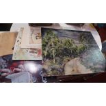 A folio of unframed pictures including a