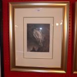 A Gustave Dore  gravure sur bois from Dante's Inferno glazed and framed with details verso