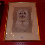 A framed and glazed pastel study of a dog by Marjory Cox
