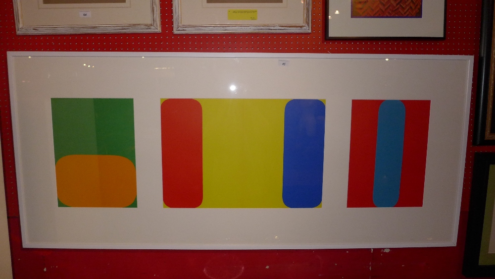 An Ellsworth Kelly triptych lithographic print, unsigned and framed