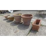 A collection of five terracotta plant pots