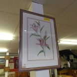 Judith Milne, (20th Century, British) 'Lilies' 1988, watercolour on artist paper,  47cm x 32cm,