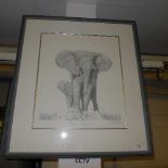 A limited edition print of an elephant entitled Reluctant Appearance,