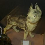 A cast iron money dog