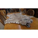 A late C19th taxidermy leopard skin rug