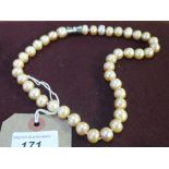 A string necklace of faux pearls