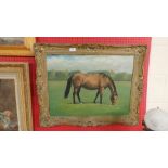 An oil on canvas depicting a horse in gesso frame