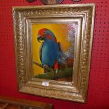 An oil on canvas painting of a parrot in gilt frame