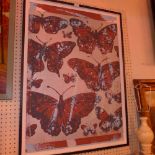A large David Bromley artist's proof of butterflies, signed 'Bromley',