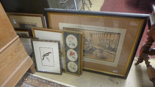 A collection of various prints including still life studies of birds and others (9)