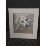 An oil on canvas portrait of a dog with a teddy in white painted frame 47cm x 45cm